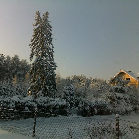 Gosciniec Nad Stawem Vila Szczytno  Exterior foto